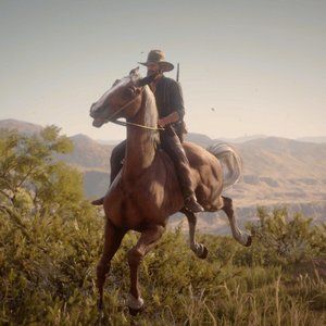 Wow 2018 was a long time ago